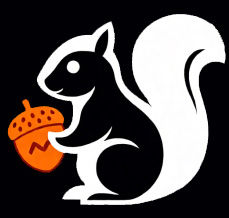 آژانس سنجاب استودیو